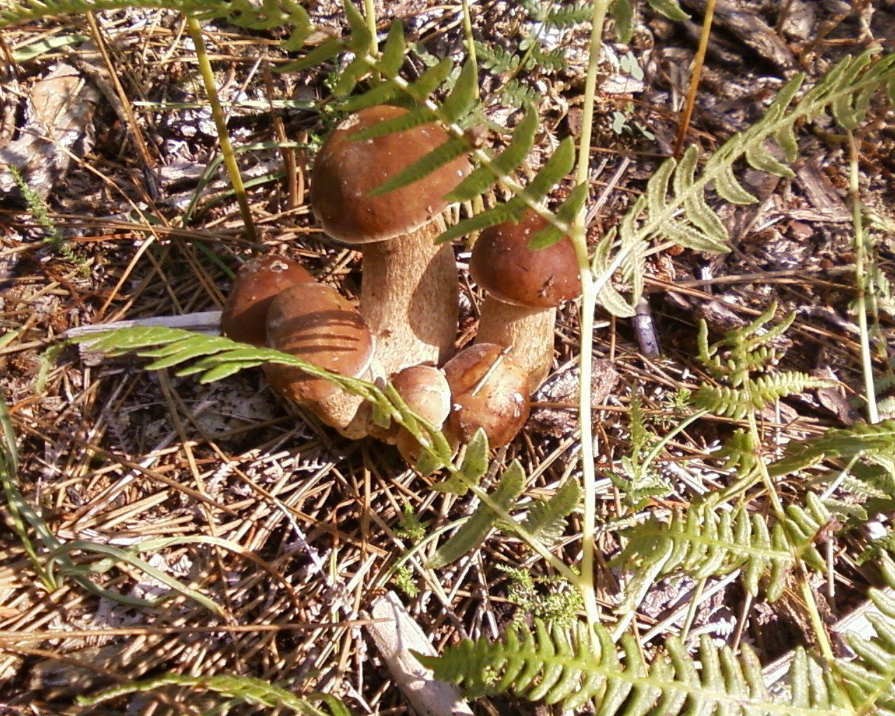 9b965d30.jpg